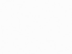 solid white-coloured sintered stone surface swatch - arctic white neolith