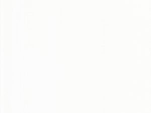 Super White Plus Bqs