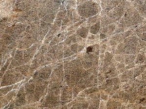 Emperador Marron Dark