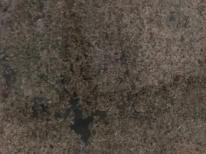 Labrador Blue Antique