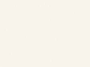 white sintered stone surface with a matte finish - just white neolith