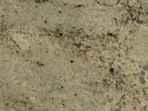 Shivakasi Ivory Granite