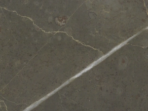 Grigio Collemandina Marble