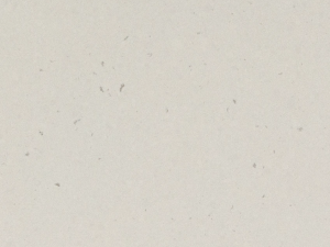 4141 Misty Carrera – swatch. Speckled White Polished Quartz Worktop Faint flecks of light and dark grey add depth and character to a soft white-layered base with an elevated look.