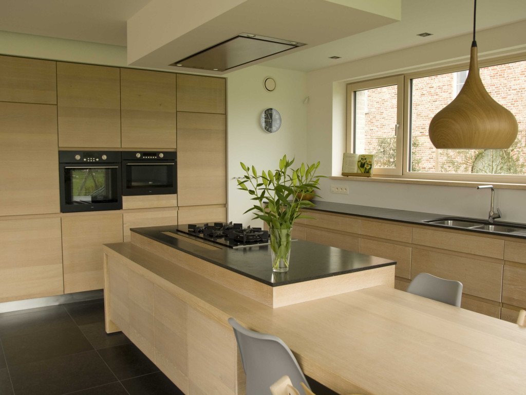 Belgian Blue Diresco - Image 3