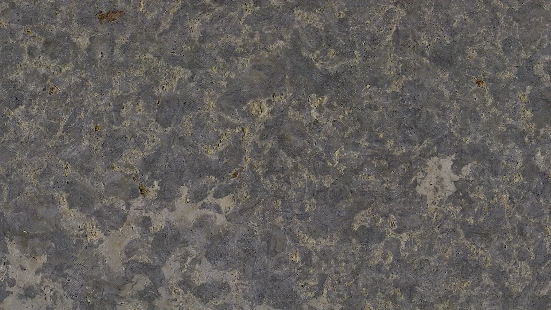 Muschelkalk | Limestone Wall Tiles | Limestone Floor Tiles