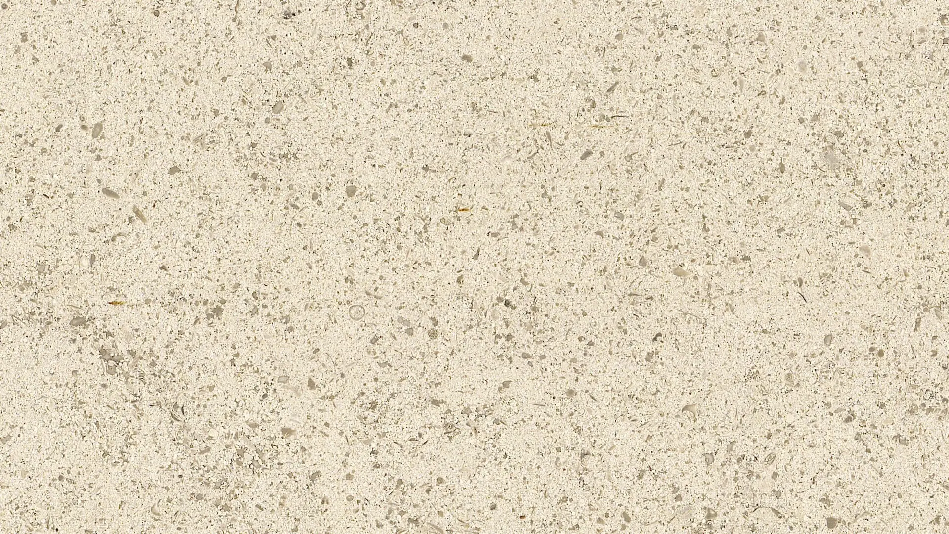 Anstrude Limestone