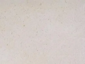 Cremo Bello Limestone