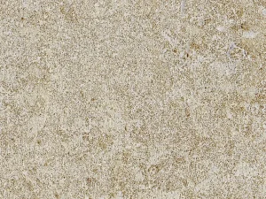 Massangis Beige Claire Limestone