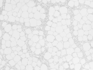 Matrix BQS white quartz with darker veins and larger white "spots"