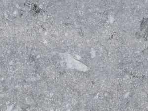 Belgian Bluestone Courant - Grey limestone surface swatch with a textured appearance, featuring fossil-like inclusions and natural variations.