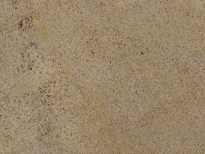 Bois Dore - Limestone with a cream-brown background with reddish/brown flame pattern and typical shell-fossils in the shape of fingernails.
