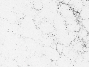 A fine-grained white quartz surface with dark grey veining scattered across the surface - Technistone Pearl Alba swatch