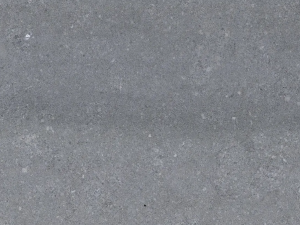 Kilkenny Limestone 1st Choice swatch - Bluish grey compact crinoid limestone with white fossils (shells, corals), very limited amount of dark irregular fine veins (stylolites) and / or white veins and concentrations spread over the surface.