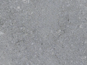 Condroz Super Limestone swatch - Grey blue compact crinoidal limestone with white fossils (corals and shells), white veins and fine irregular black veins (stylolites) spread over the surface.