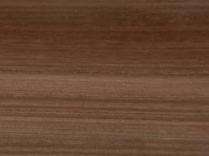 Ambra Dorata Quartzite – Elegant Brown Stone from Brazil