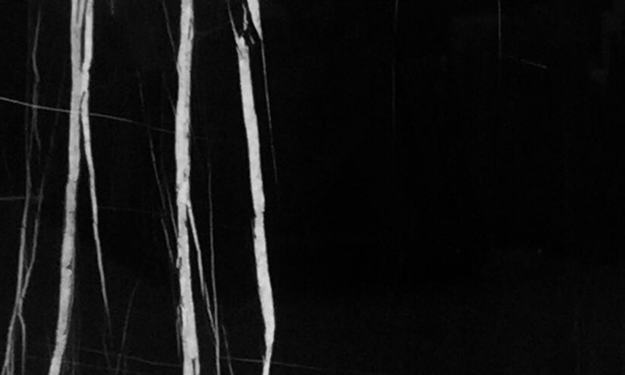 Cosentino SCALEA NEGRO BAMBU 20mm Marble