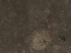 Cosentino SCALEA NEW GRIS VIOLA 20mm Marble